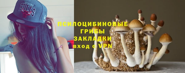 mdpv Вяземский