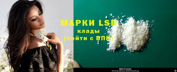 mdpv Вяземский