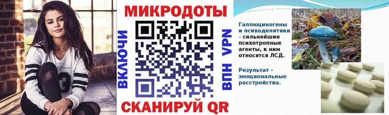 KRAKEN ссылки  Ирбит  Псилоцибиновые грибы мицелий 
